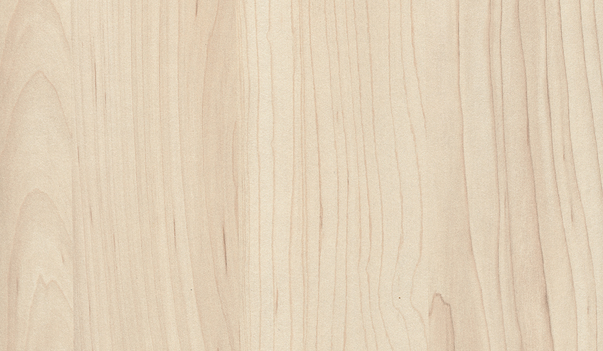 Кромка АБС 0,8*19 Клен сахарный шампань